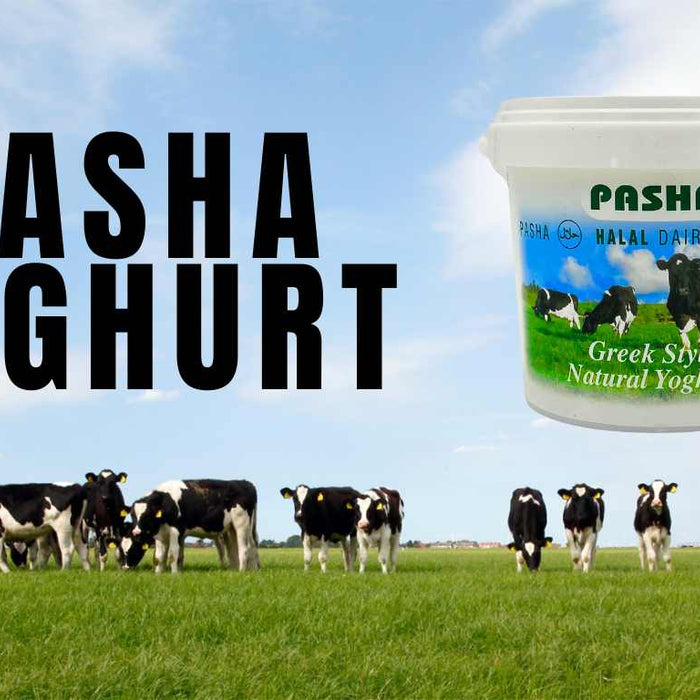 Pasha Greek Yogurt Benefits: 5 Reasons to Make it Your Daily Staple