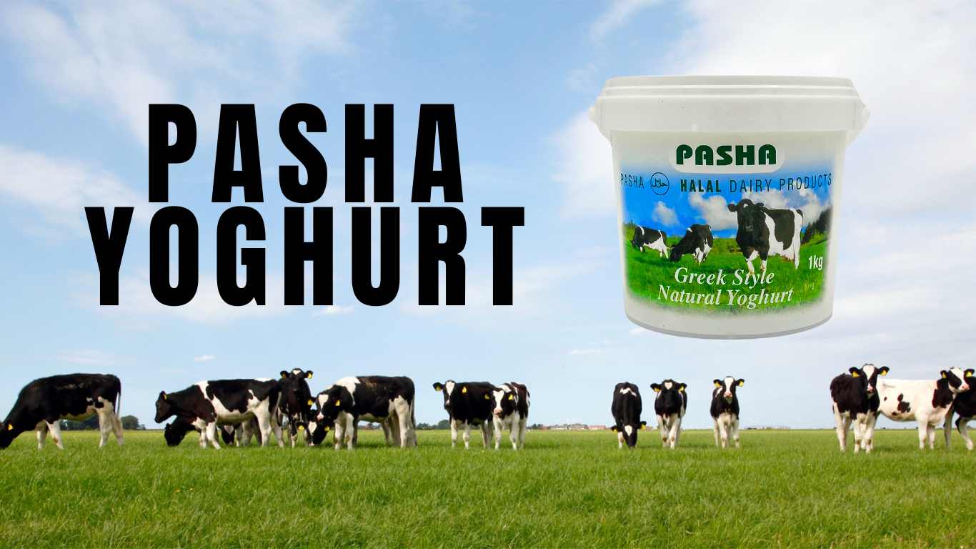 Pasha Greek Yogurt Benefits: 5 Reasons to Make it Your Daily Staple