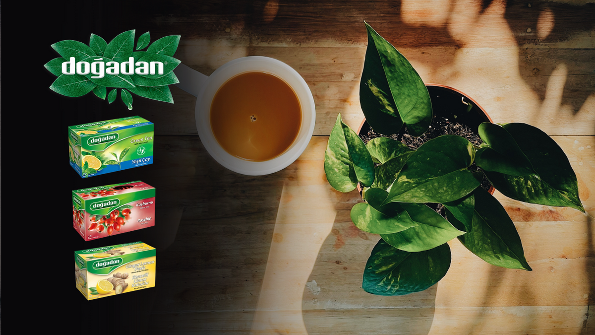 Nature's Gift: How Tea Can Enhance Your Health & Happiness — Basfoods