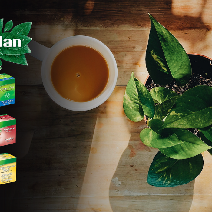 Nature's Gift: How Tea Can Enhance Your Health & Happiness