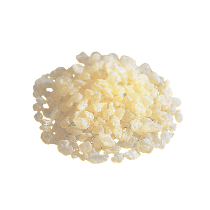 Chios Mastic Gum 10g